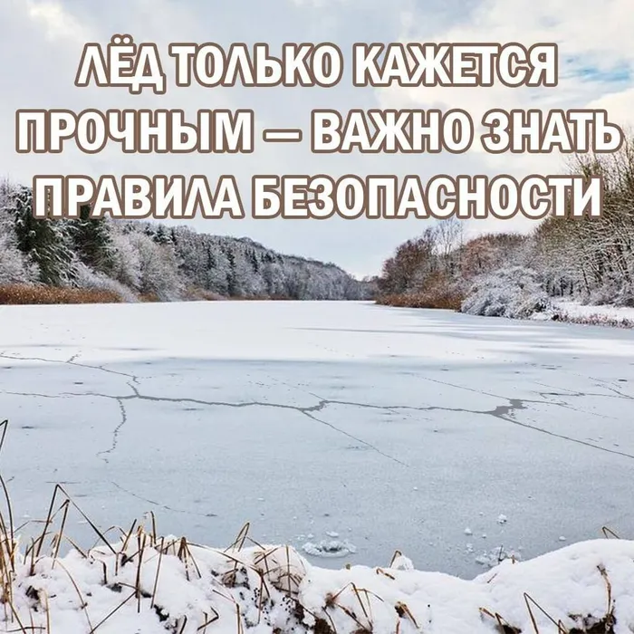 Лед