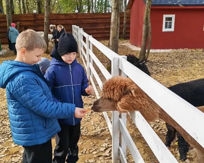 Экскурсия на экоферму «Пушистые друзья»