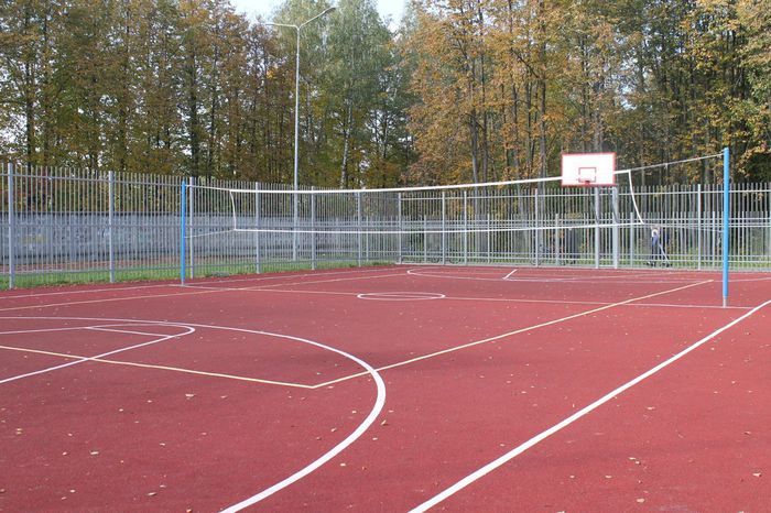 Волейбольная и баскетбольная площадка